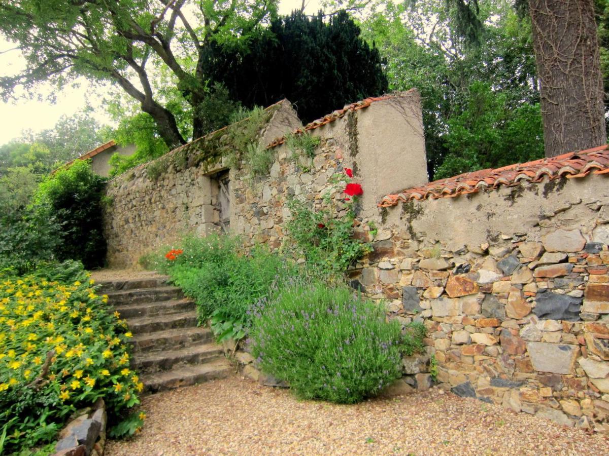 Magnificent Holiday Home With Pool Saint-Paul-du-Bois 객실 사진